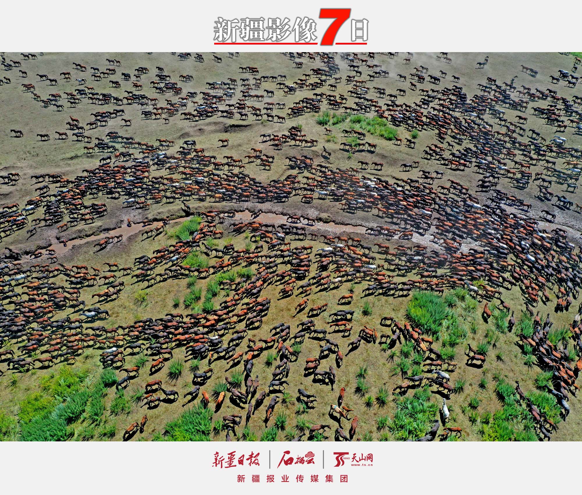 7月16日，第三十屆中國(guó)新疆伊犁天馬國(guó)際旅游節(jié)在昭蘇縣卡爾坎特大草原上開幕。此屆天馬節(jié)以“策馬相約三十載 攜手喜迎二十大”為主題，彰顯天馬文化、弘揚(yáng)時(shí)代精神，推動(dòng)昭蘇縣作為國(guó)家全域旅游示范區(qū)建設(shè)的戰(zhàn)略升級(jí)。李文武攝