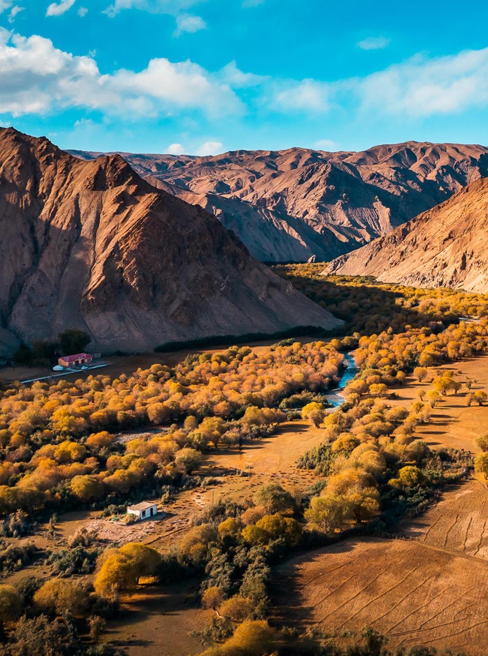 坎兒洋大峽谷秋日美景。壯美帕米爾公眾號