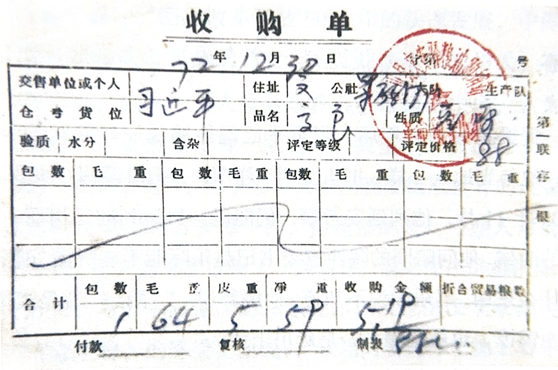1972年12月30日，習(xí)近平交售了59斤公糧的收購(gòu)單。