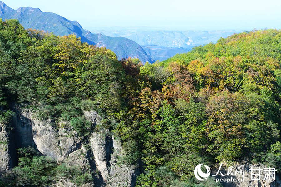 群山環(huán)抱，滿(mǎn)目蒼翠。人民網(wǎng)記者 米媛攝