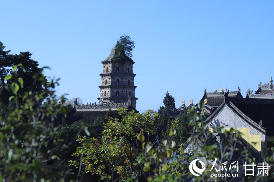 崆峒山凌空塔，松韻天成。人民網(wǎng)記者 米媛攝