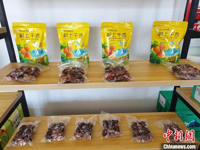 新疆兵團積極備展冀借第七屆中國—亞歐博覽會拓市場