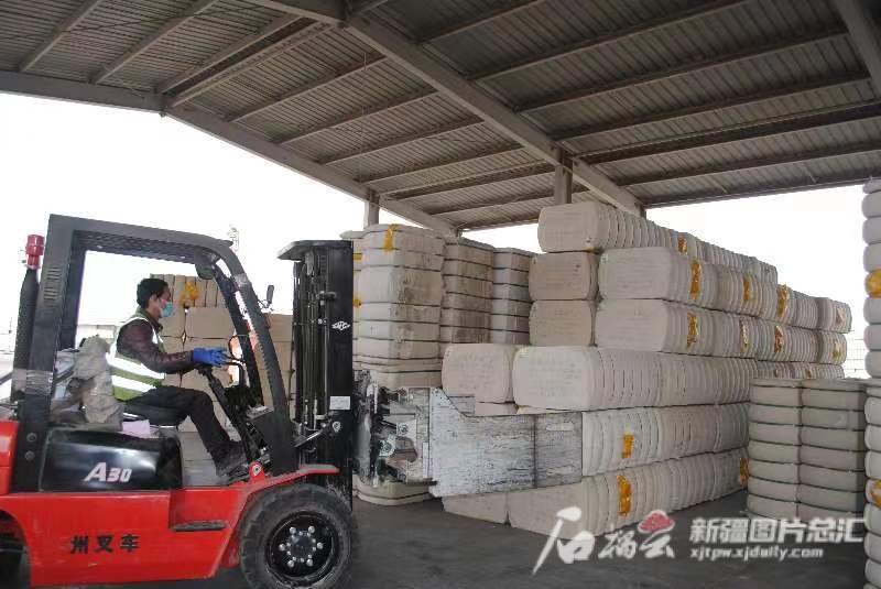mmexport1677487331385