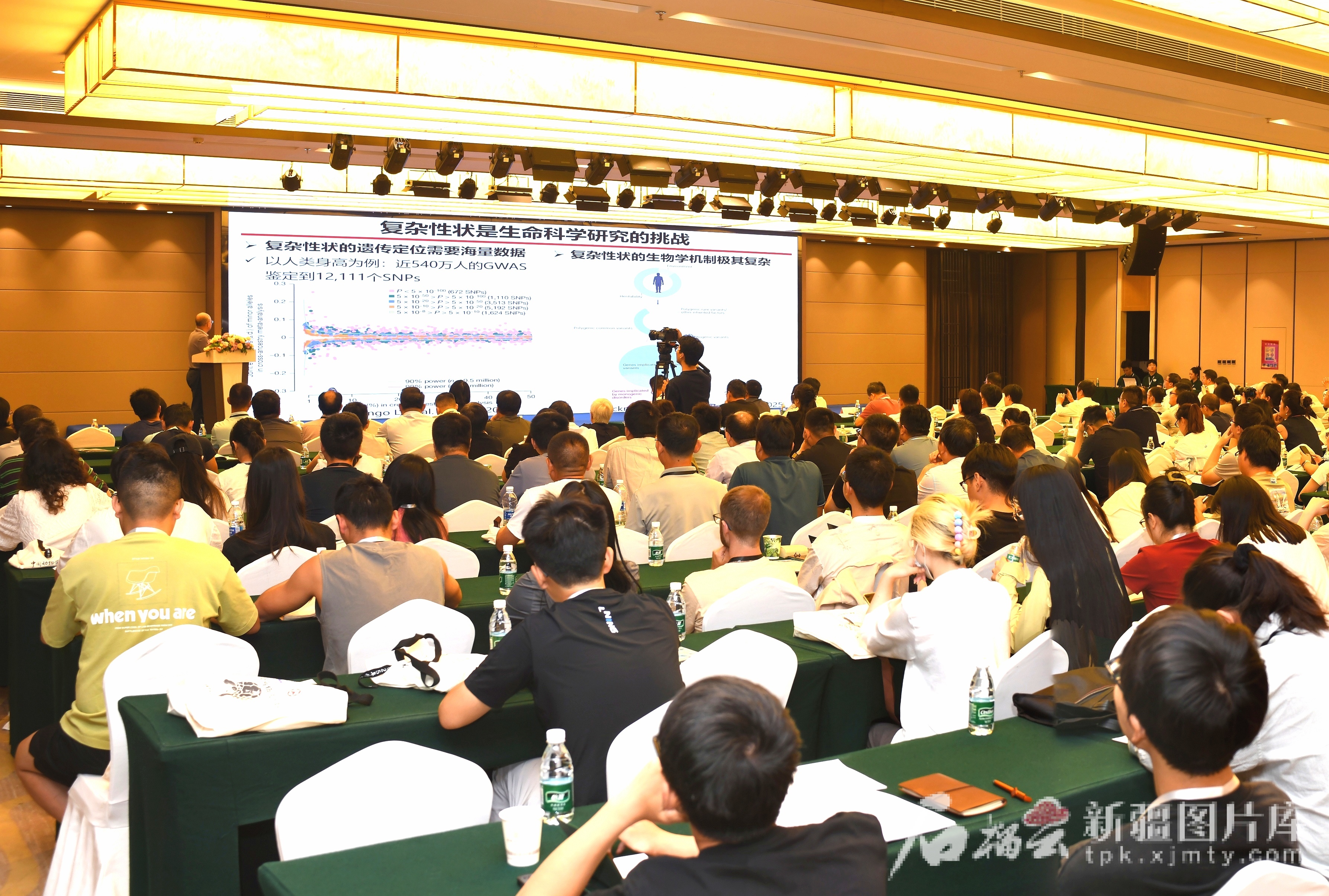 IMG_20250817_163400_edit_383022917075929