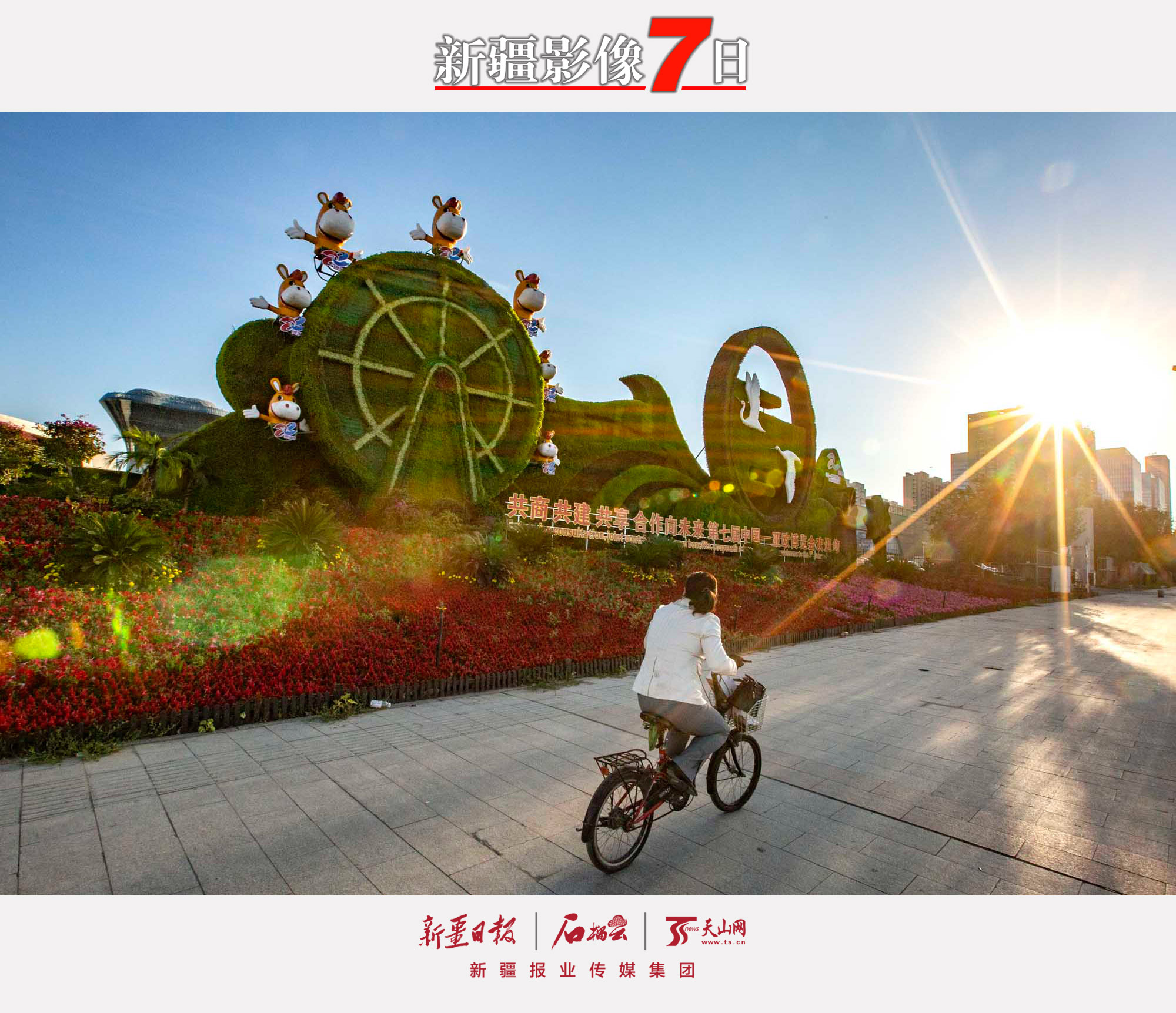 9月15日，一位市民騎車從烏魯木齊市紅光山路邊的第七屆中國—亞歐博覽會(huì)主題花壇旁駛過。 隨著第七屆中國—亞歐博覽會(huì)的臨近，烏魯木齊市100多組主題花壇相繼擺放到位，大街小巷花團(tuán)錦簇。石榴云/新疆日?qǐng)?bào)記者蔡增樂攝