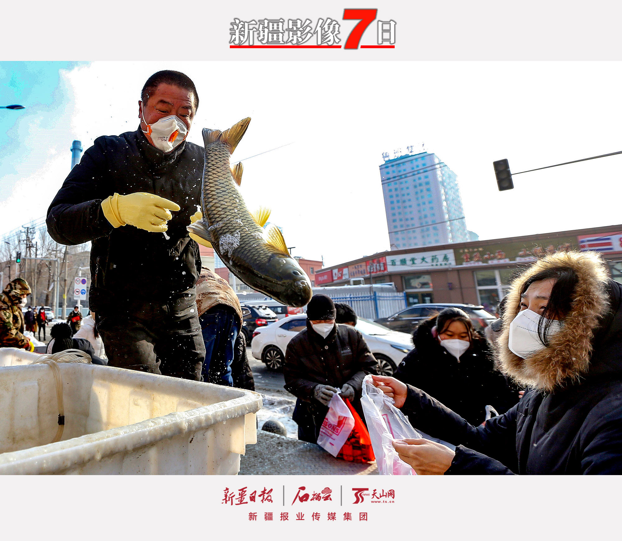 11月29日，市民在烏魯木齊市天山區(qū)堿泉三街購(gòu)買草魚。近日，烏魯木齊市穩(wěn)步有序恢復(fù)正常生產(chǎn)生活秩序。石榴云/新疆日?qǐng)?bào)記者　李瑞　攝