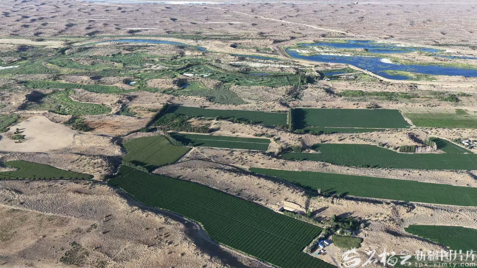 mmexport1763286361071