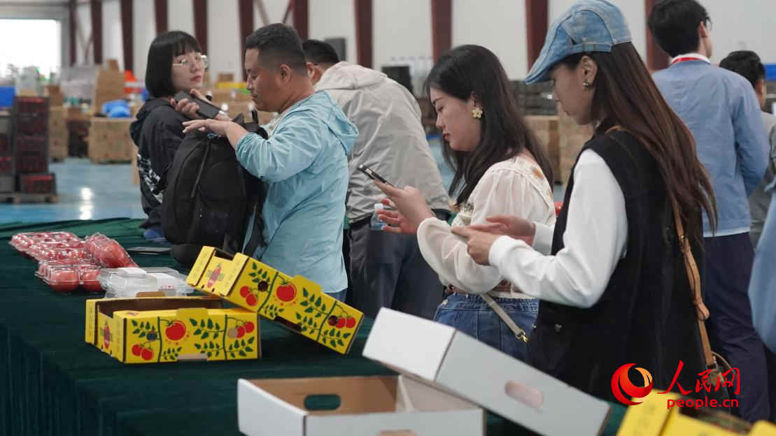 參加活動的正能量網(wǎng)絡名人代表正在拍攝展示的番茄產(chǎn)品。人民網(wǎng) 李龍攝